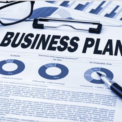 Professional & Effective Business Plan Writing